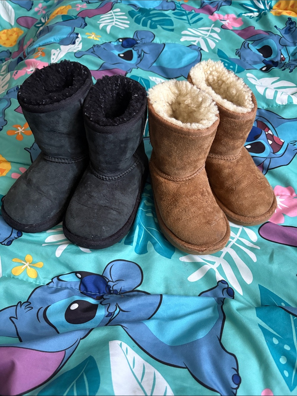 UGG Classic Short Boots - Chestnut and Black Pairs - Picture 14 of 16